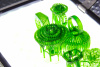 Изображение Фотополимер FlashForge Castable, зеленый, 500 мл в интернет-магазине 3DSYSTEM в Санкт-Петербурге
